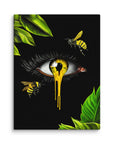Honey Canvas Print