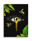 Honey Canvas Print
