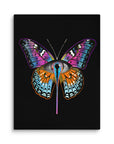 Butterfleye Canvas Print