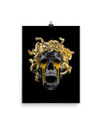 Medusa Poster Print