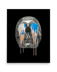 Melting Skull Poster Print