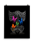 Butterflies Poster Print