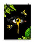 Honey Poster Print