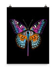 Butterfleye Poster Print