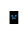 Butterfly Effect